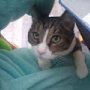 Meet your Posher, Glenda